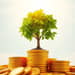 Finanças Sustentáveis: Construindo um Legado Verde para o Seu Bolso